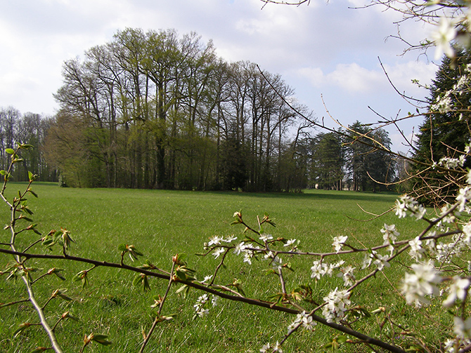 Vues du parc - © A. Gilbert